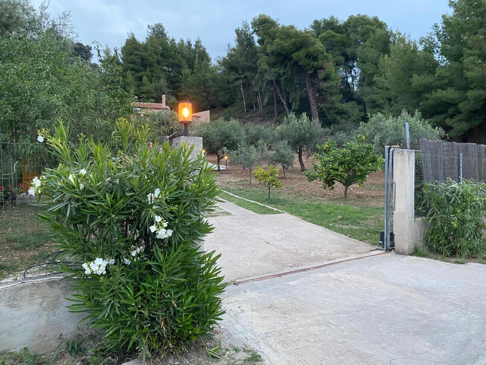 Askalosia Villa Agios Georgios  Exterior photo