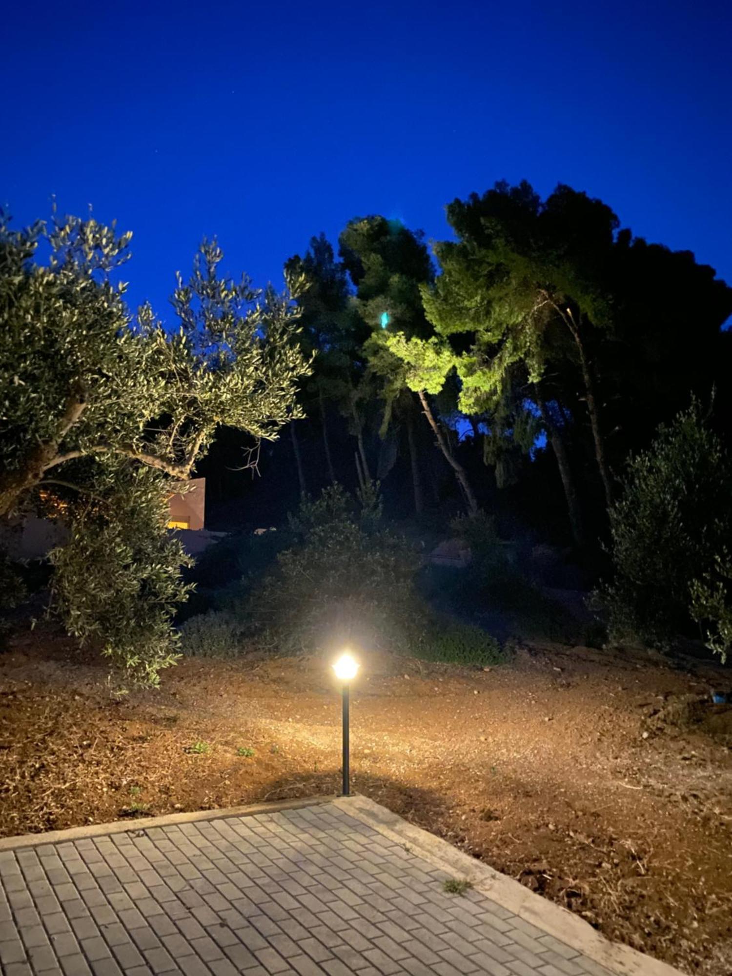 Askalosia Villa Agios Georgios  Exterior photo