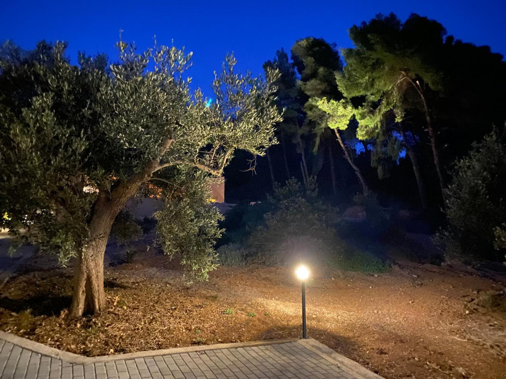 Askalosia Villa Agios Georgios  Exterior photo